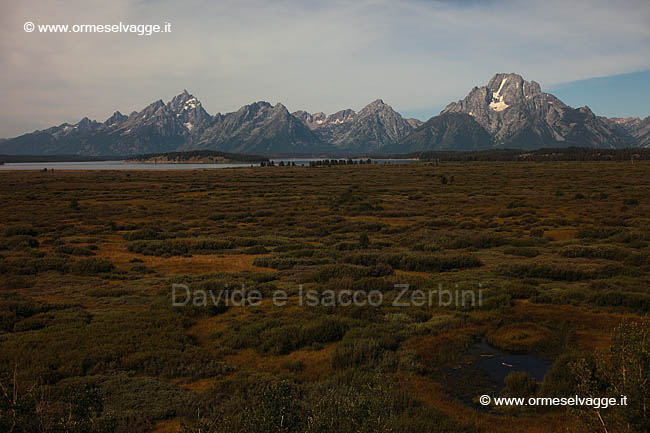 289 Tetons IMG 0385 (4)